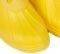  NATIVE PADDINGTON CRAYON YELLOW (UK:5/EUR:38)