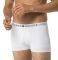  TOMMY HILFIGER COTTON TRUNK ICON HI...