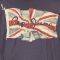 T-SHIRT PEPE JEANS FLAG LOGO   (L)