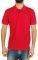 T-SHIRT POLO THE BOSTONIANS 3PS1001  (...