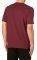 T-SHIRT DICKIES WINTON  (S)