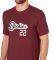 T-SHIRT DICKIES WINTON  (S)