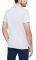 T-SHIRT POLO TIMBERLAND SOLID OXFORD CA1INW051   (M)