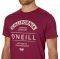 T-SHIRT ONEILL FUSION ������� (L)