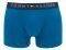  TOMMY HILFIGER TRUNK CHECK HIPSTER  /  2 (XL)
