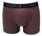 ��������� TOMMY HILFIGER TRUNK GEO HIPSTER ��...