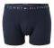 ��������� TOMMY HILFIGER TRUNK RWB HIPSTER ������ ����/������� 2��� (M)