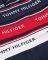 ��������� TOMMY HILFIGER TRUNK PREMIUM ESSENTIALS HIPSTER ������ ���� 3��� (L)