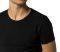  TOMMY HILFIGER PREMIUM ESSENTIALS  3 (XXL)