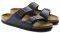 �������� BIRKENSTOCK ARIZONA 51753 ������ ���� (37)