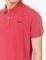 T-SHIRT POLO PEPE JEANS LEMON  (XXL)