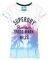T-SHIRT SUPERDRY PHOTOGRAPHIC ENTRY   (XL)