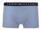 TOMMY HILFIGER TRUNK STAR HIPSTER //  3 (XL)