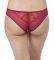  TRIUMPH VELVET SPOTLIGHT BRAZILIAN   (40)