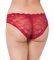  TRIUMPH TEMPTING LACE HIPSTER   (S)