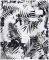 ����� BOXER TIMBERLAND SUNAPEE PATTERN TROPICAL CA1N7PL08 �����/����� (XL)