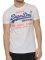 T-SHIRT SUPERDRY D1 SHOP DUO LITE ����� (M)