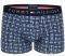  TOMMY HILFIGER ICON TRUNK FLAG HIPSTER  // 3 (S)