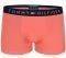  TOMMY HILFIGER ICON TRUNK FLAG HIPSTER  // 3 (M)