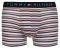  TOMMY HILFIGER ICON TRUNK STRIPE HIPSTER // 3 (XL)