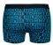  TOMMY HILFIGER TRUNK LOGO ICON HIPSTER  /  2 (XL)