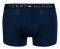  TOMMY HILFIGER TRUNK LOGO ICON HIPSTER  /  2 (XL)