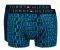  TOMMY HILFIGER TRUNK LOGO ICON HIPSTER  /  2 (XL)