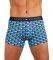  TOMMY HILFIGER ICON TRUNK PRINT HIP...