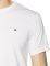 T-SHIRT TOMMY HILFIGER LOGO  (M)