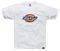 T-SHIRT DICKIES HORSESHOE  (XXL)