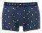  TOMMY HILFIGER TRUNK MINI FLAG HIPS...