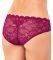  TRIUMPH TEMPTING LACE HIPSTER   (S)