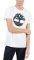 T-SHIRT TIMBERLAND KENNEBEC RIVER TREE LOGO T...