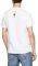 T-SHIRT PEPE JEANS JOEL PM506356  (L)