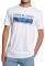 T-SHIRT QUIKSILVER THE JUNGLE EQYZT05267  (L)