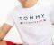 T-SHIRT TOMMY HILFIGER UM0UM01167/100 ΛΕΥΚΟ (XL) T-SHIRT TOMMY HILFIGER UM0UM01167/100 ΛΕΥΚΟ (XL)