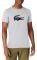 T-SHIRT LACOSTE TH3377 Y5J  / (M)