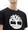 T-SHIRT TIMBERLAND KENNEBEC RIVER BRAND TREE TB0A1L6O  (M)