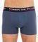  TOMMY HILFIGER PRINT HIPSTER UM0UM0...