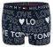  TOMMY HILFIGER LOVE TOMMY STAR HIPSTER UM0UM01525/416   (S)