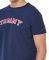 T-SHIRT TOMMY HILFIGER LOGO UM0UM01623/416   (S)