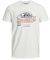 T-SHIRT JACK & JONES JORHAYES 12165875  (S)