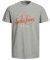 T-SHIRT JACK & JONES JORHAYES 12165875    (S)