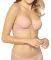  TRIUMPH LACE SPOTLIGHT WHP   (...