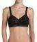 TRIUMPH DELICATE DOREEN N  (110E...