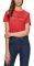 T-SHIRT PEPE JEANS MICHELLE PL504269/286 ...