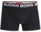  BJORN BORG SHORT SOLID COMFORT / 2 (L)