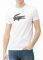 T-SHIRT LACOSTE TH3377 AU8 / (L)