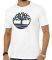 T-SHIRT TIMBERLAND K-R BRAND TREE TB0A2CGA  (M)