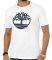T-SHIRT TIMBERLAND K-R BRAND TREE TB0A2CGA ...